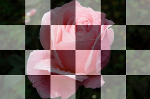 Photo with overlayed chessboard