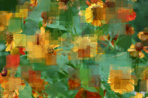 Photo with overlayed colored squares