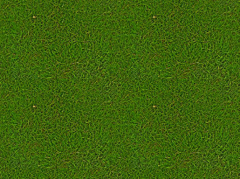 https://www.imgonline.com.ua/examples/texture-grass-seamless.jpg